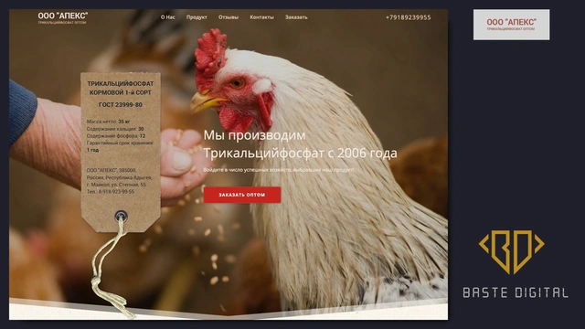 Увеличенное фото к отзыву о Создание сайтов - Baste Digital